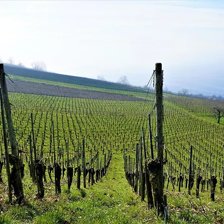 Dreher Casa de Férias Meersburg