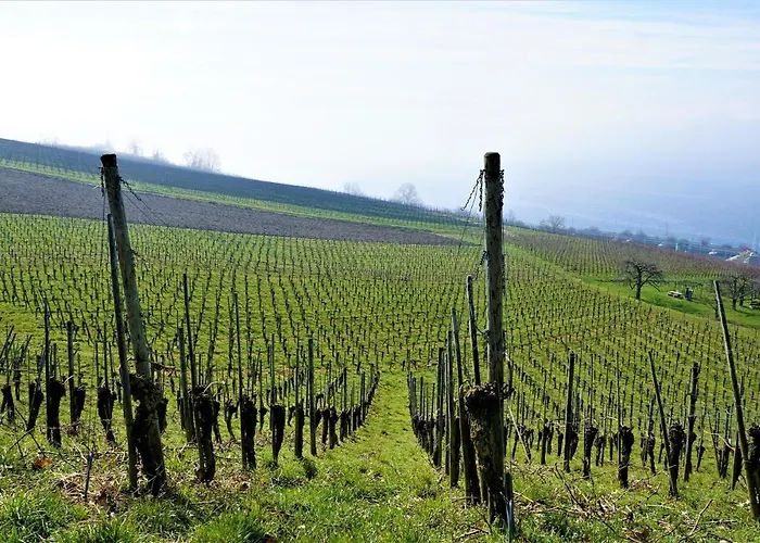 Dreher Semesterbostad Meersburg